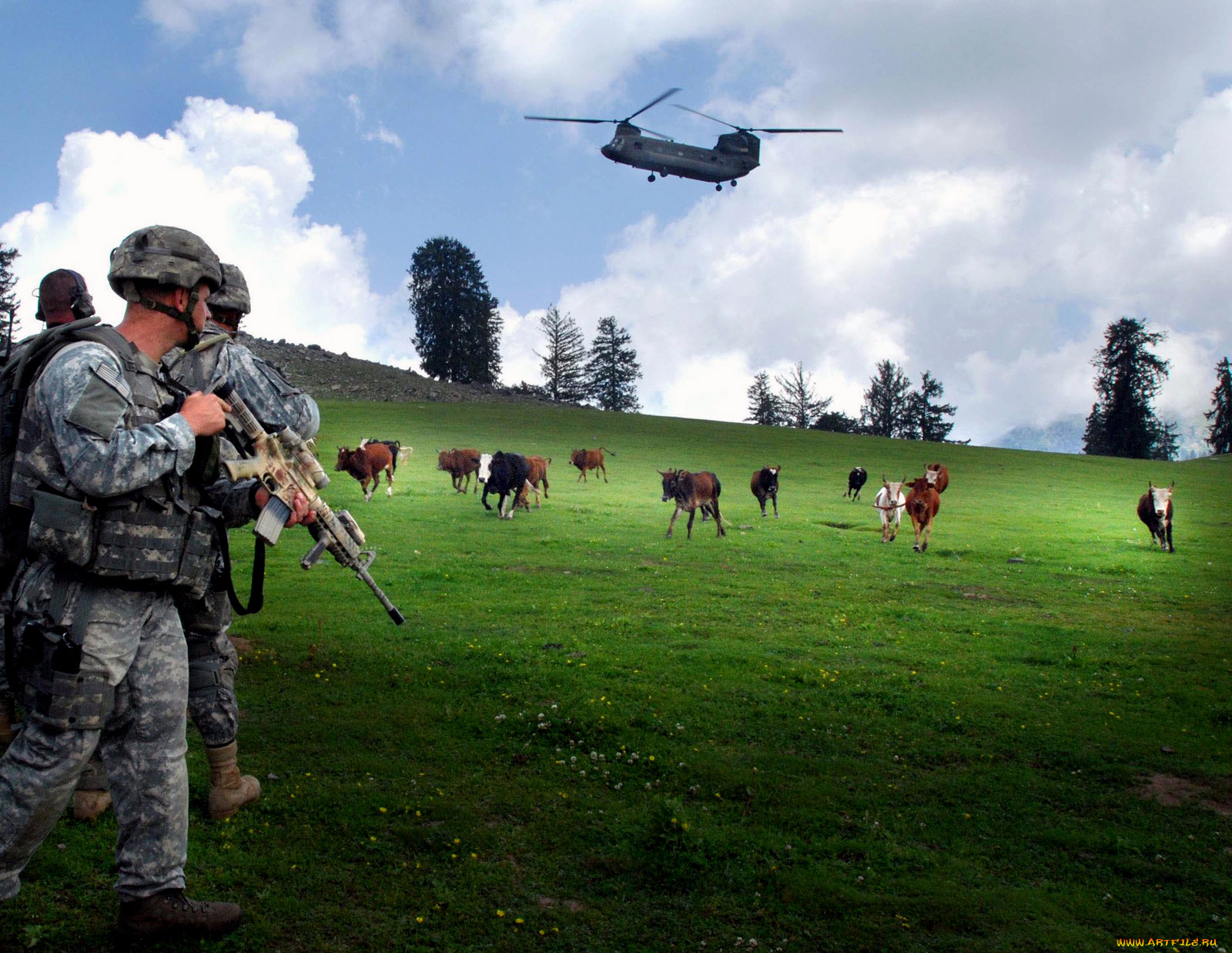 , , , army, soldiers
